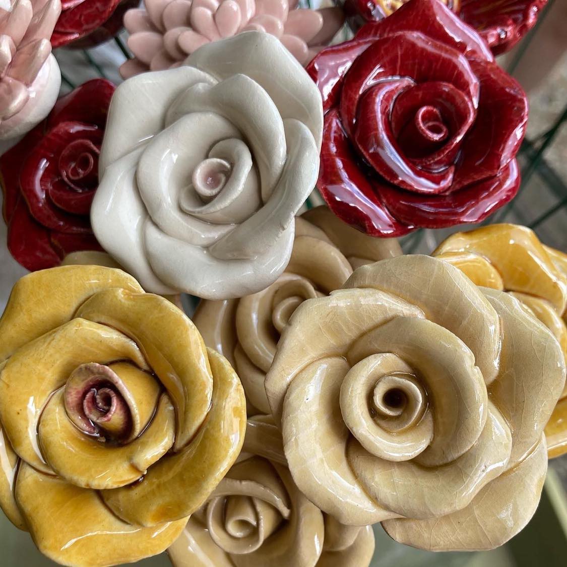 Rose gross