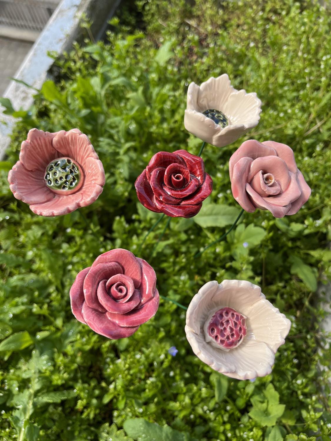 Rose gross