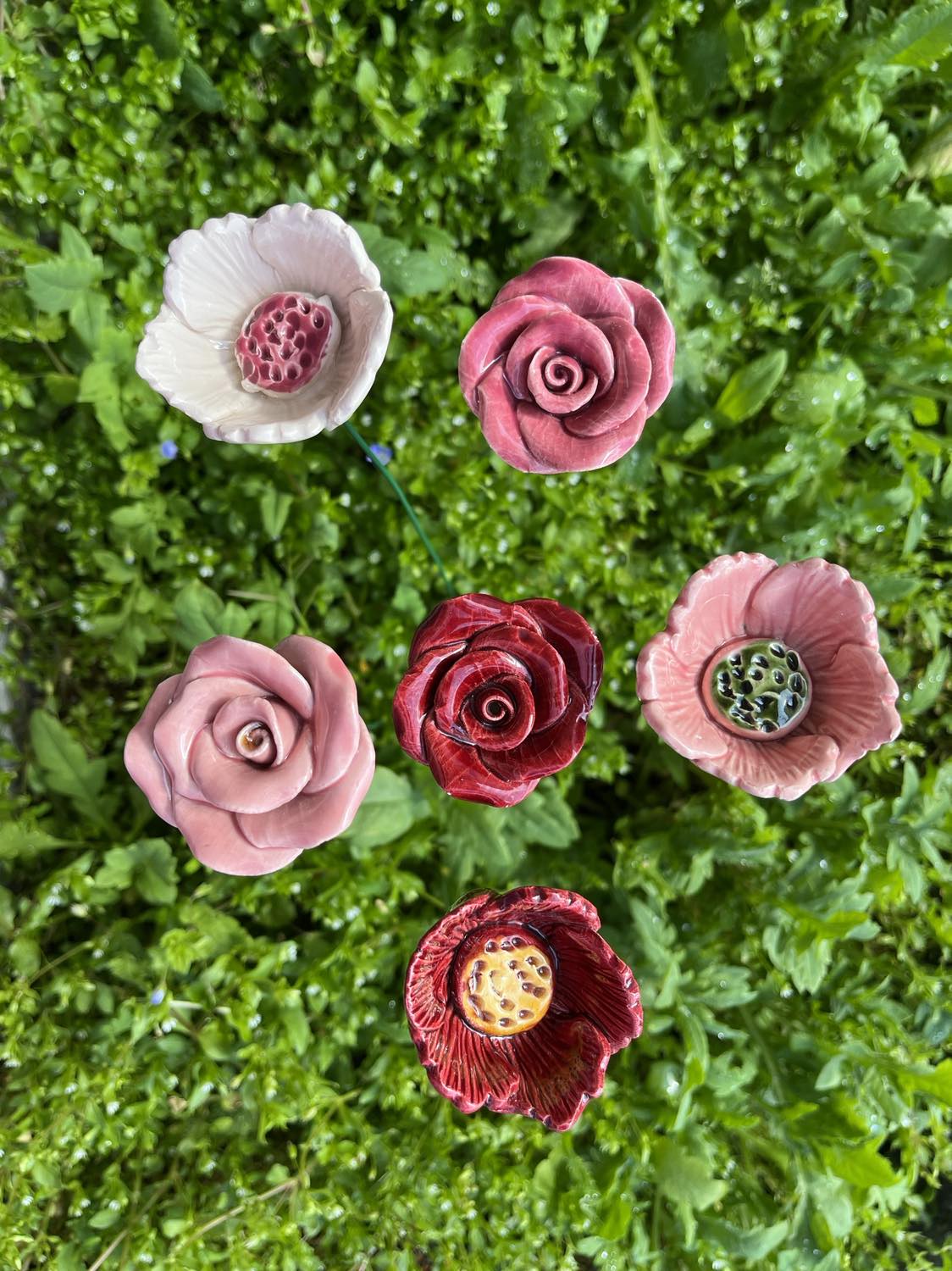 Rose gross