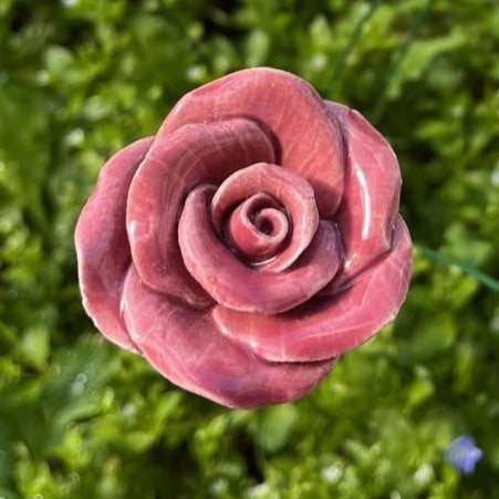 Rose gross