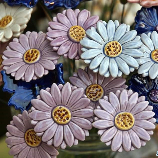 Gerbera
