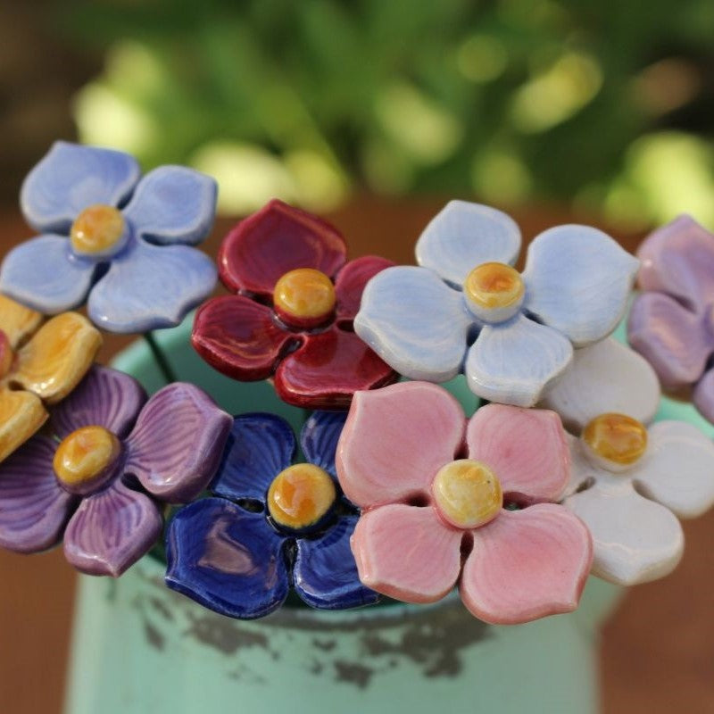 Hortensia small