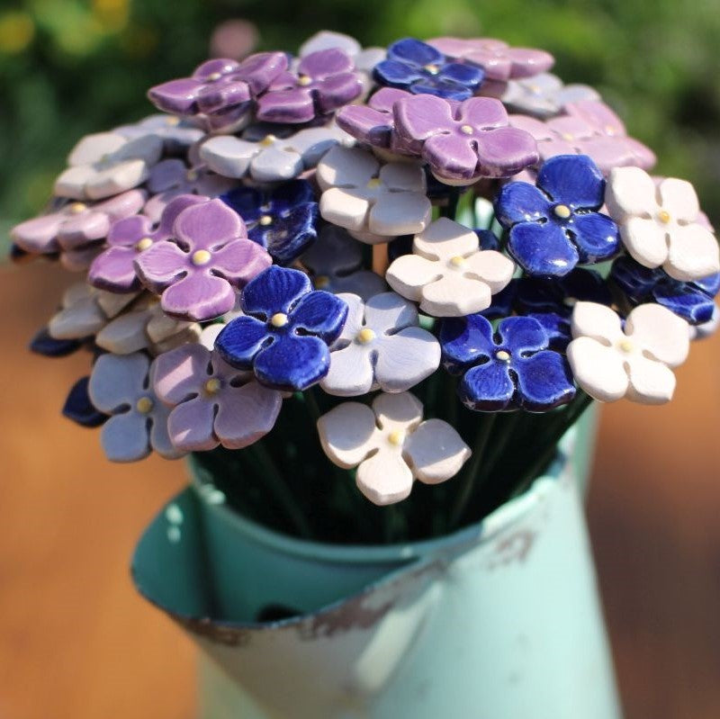 Hortensia mini