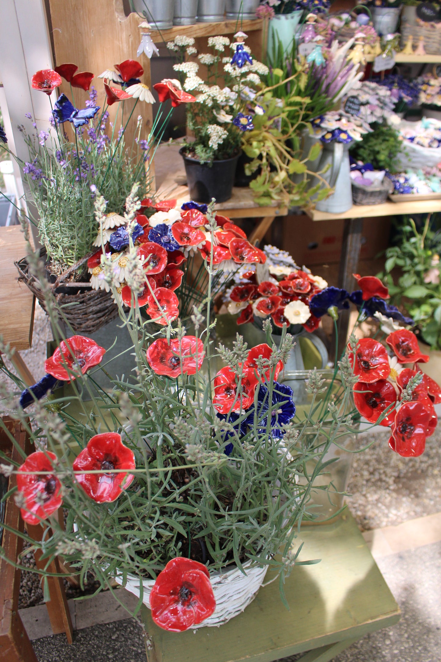 Mohnblume