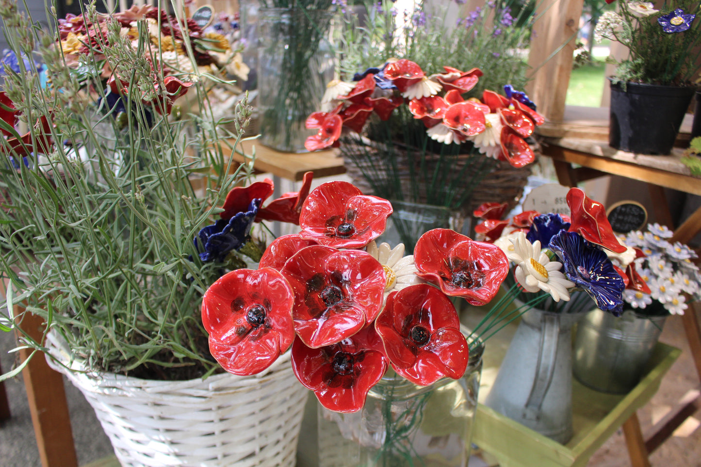 Mohnblume
