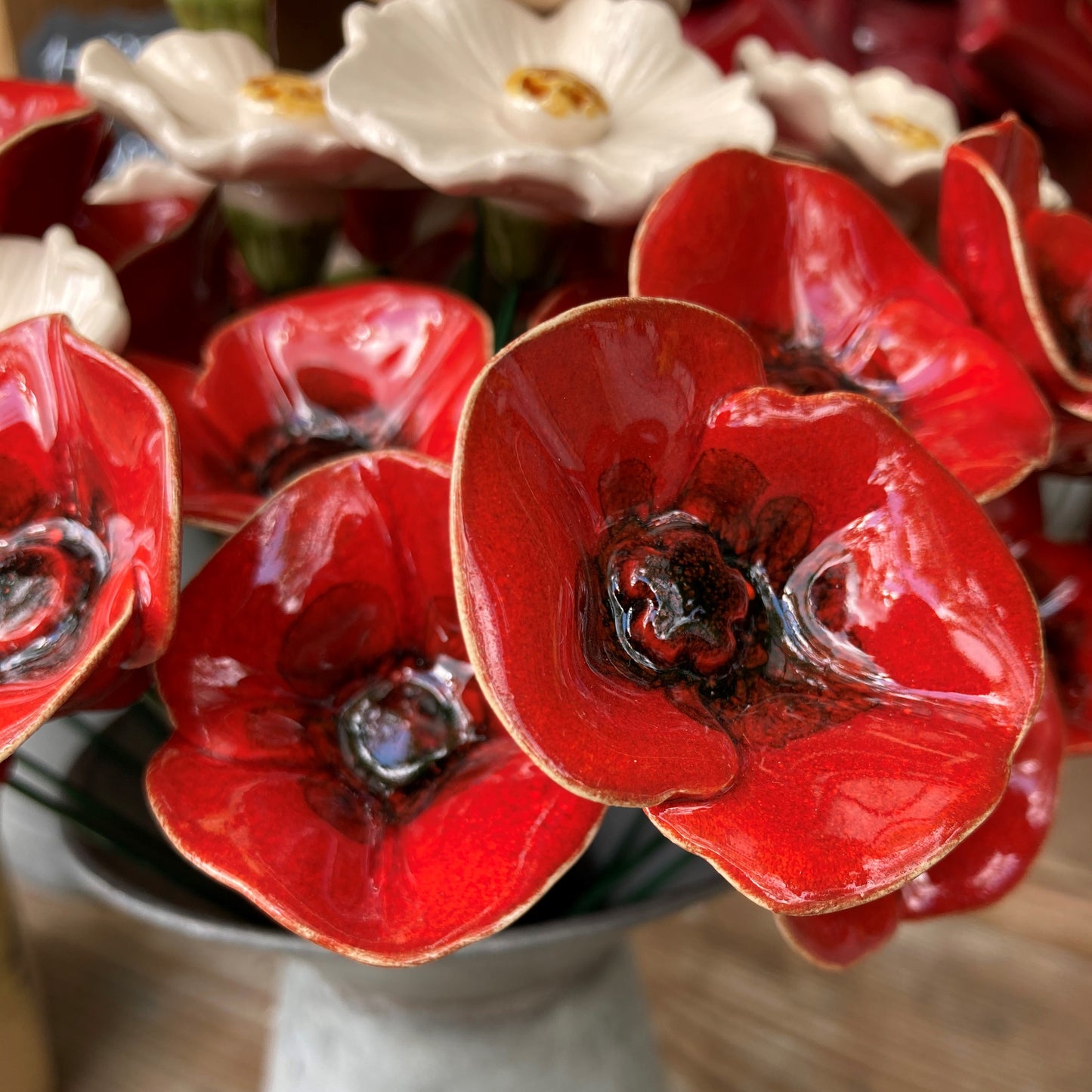 Mohnblume