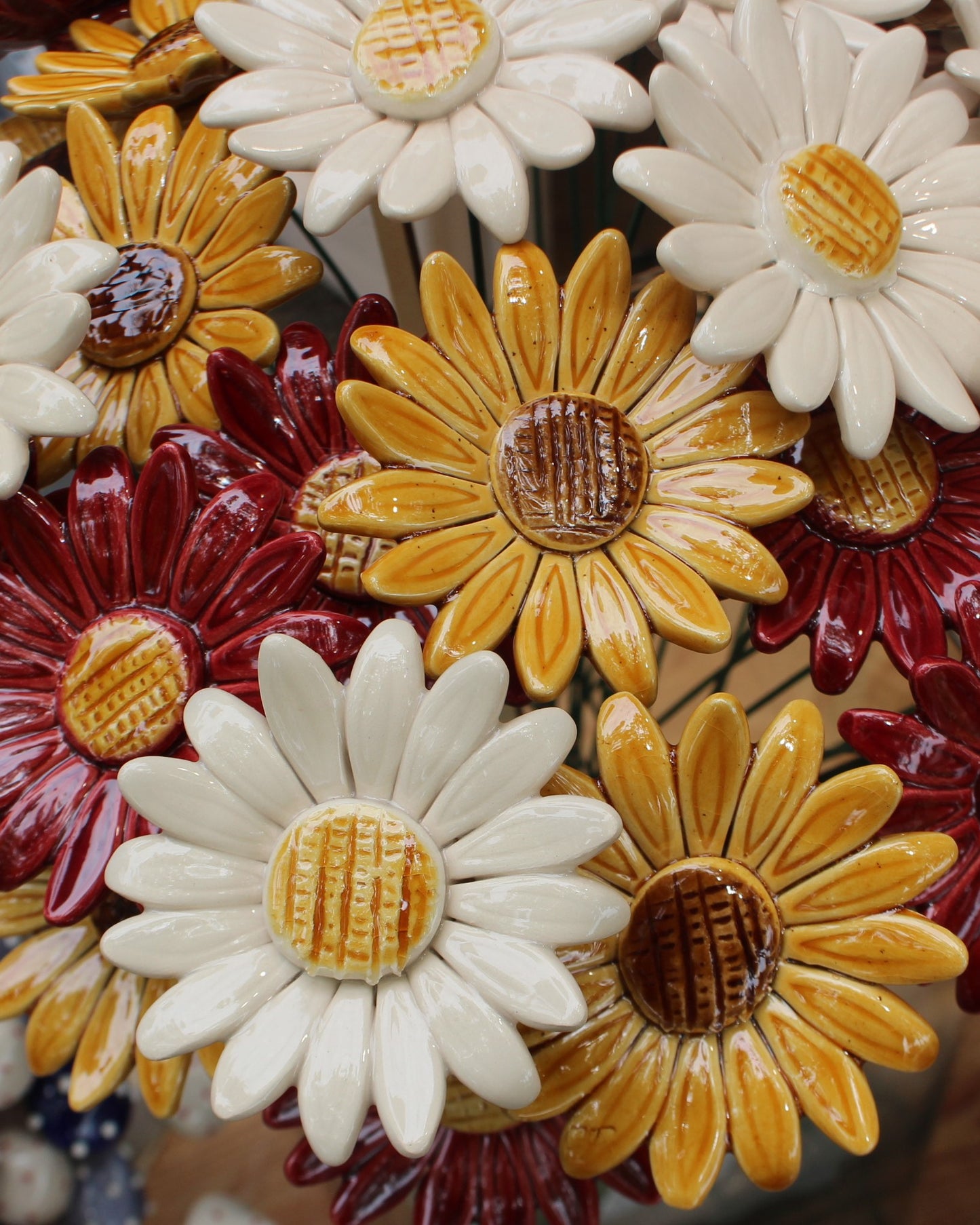 Sonnenblume