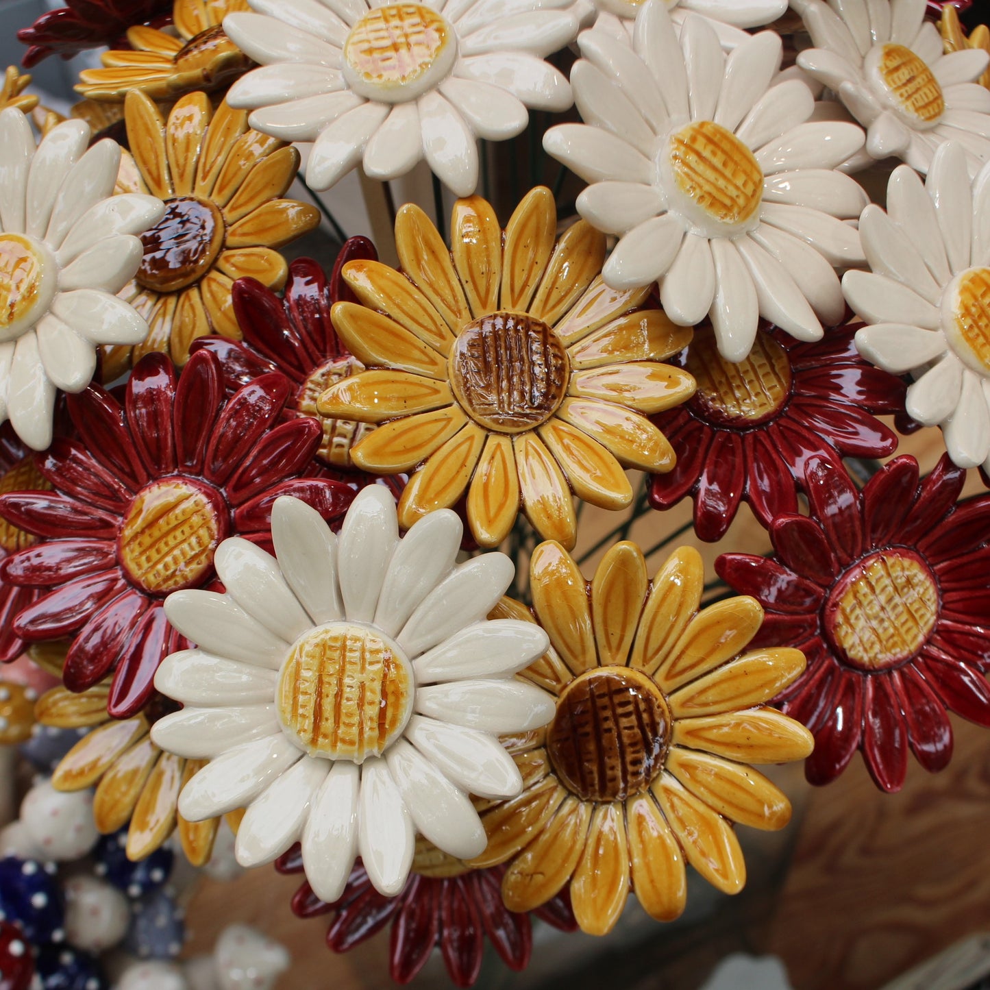 Sonnenblume