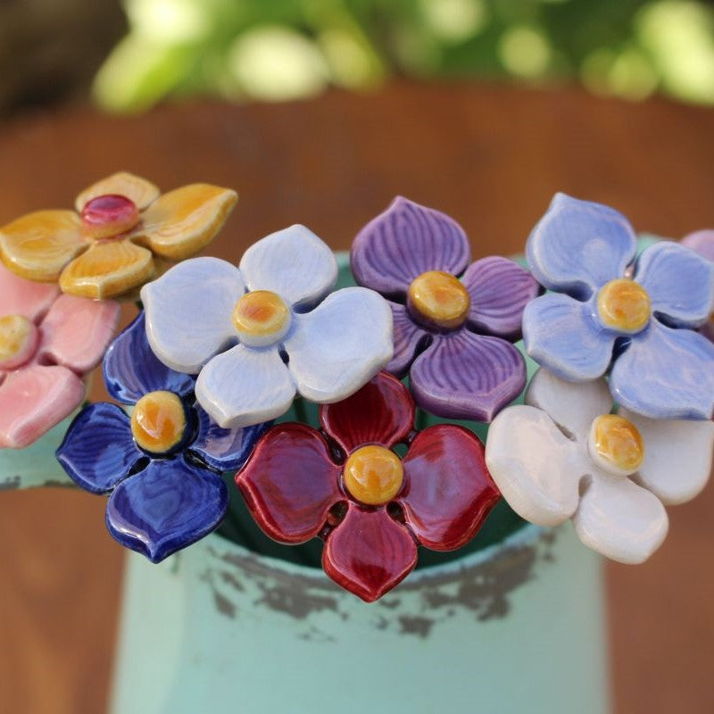 Hortensia small