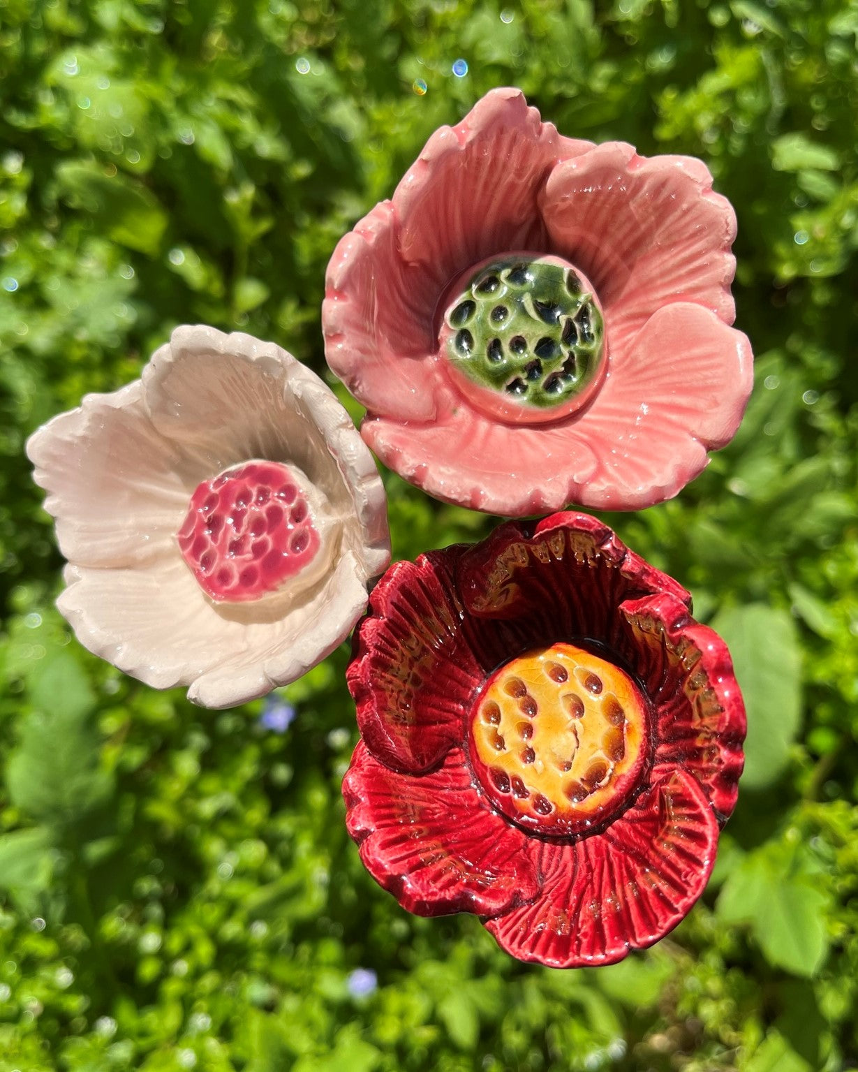 Orientalischer Mohn