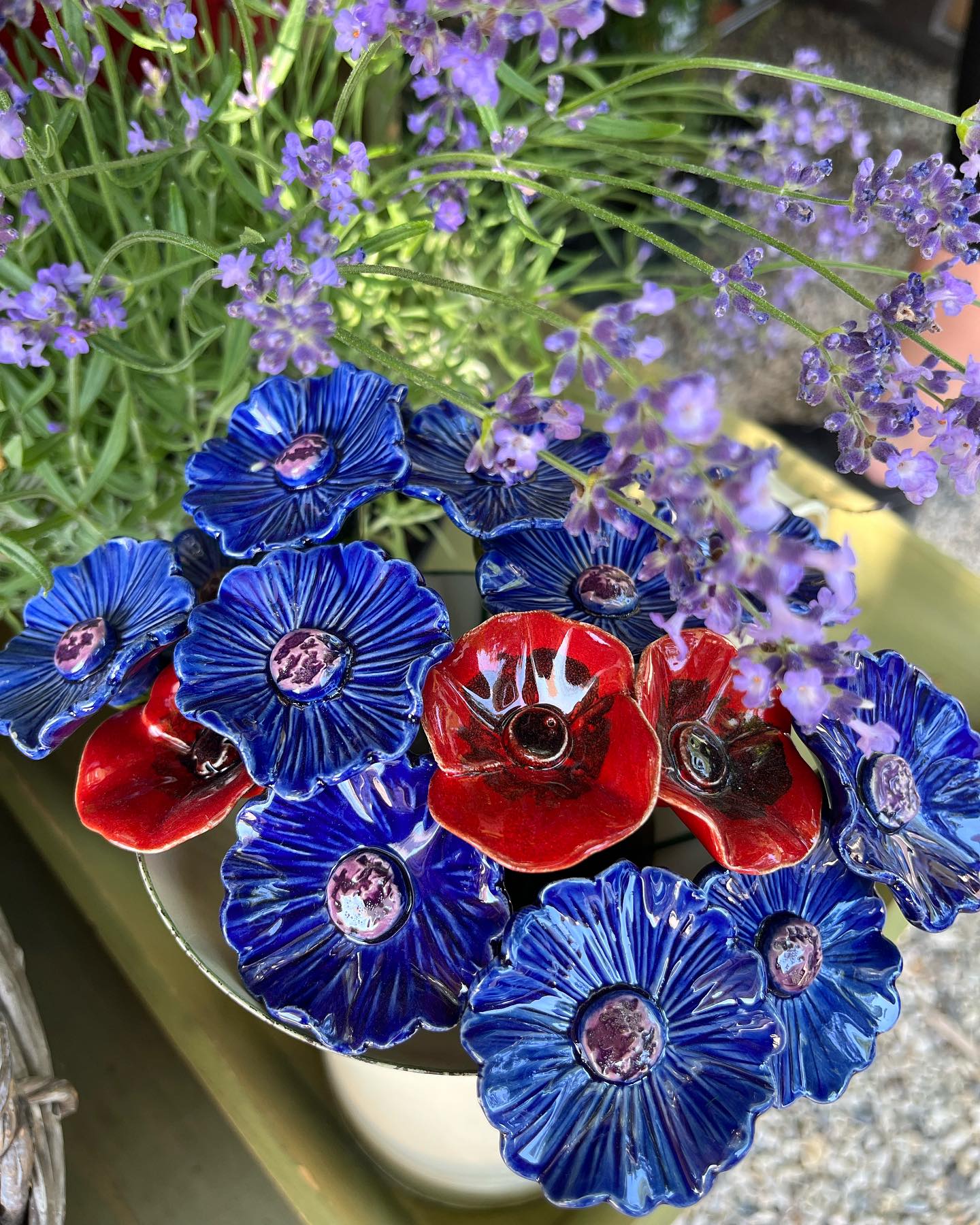 Cornflower