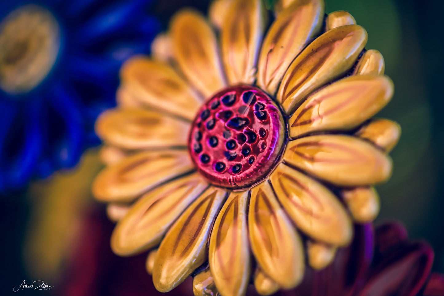 Gerbera