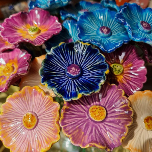 Cornflower